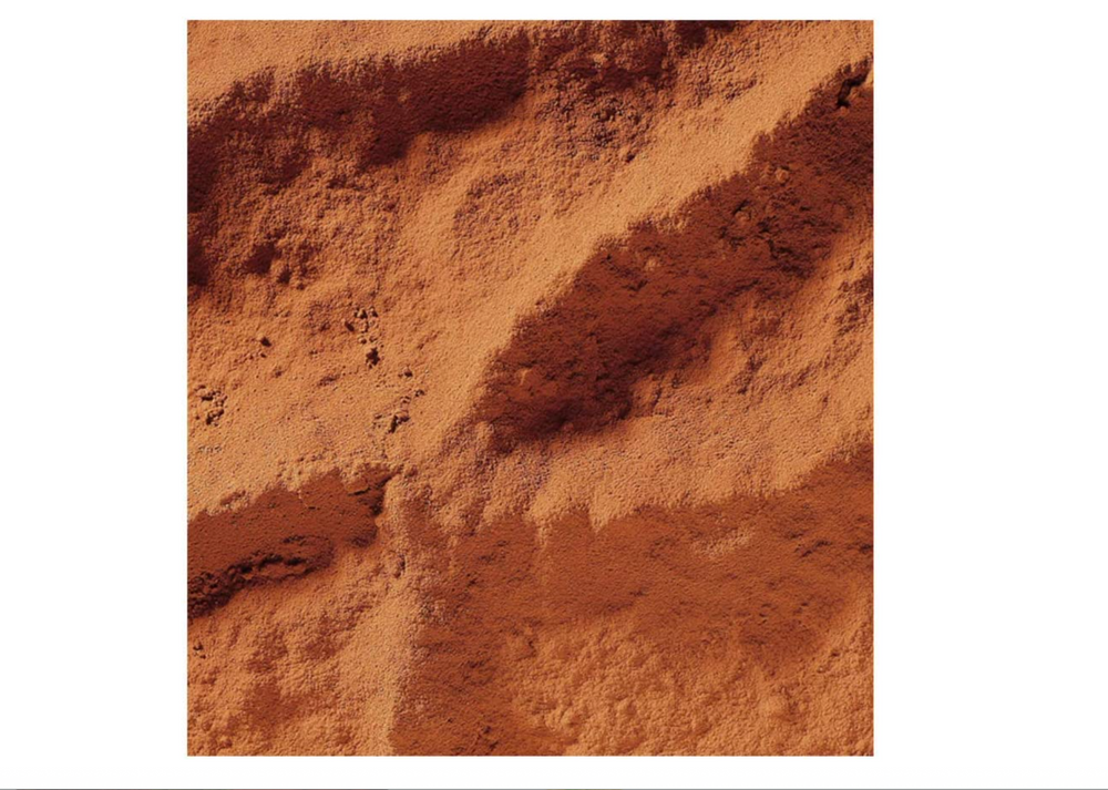 Cacao Barry Extra Brute Cocoa Powder 22/24%
