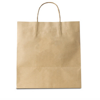 Kraft Paper Rope Handle Shopping Bag 13×8×13 in