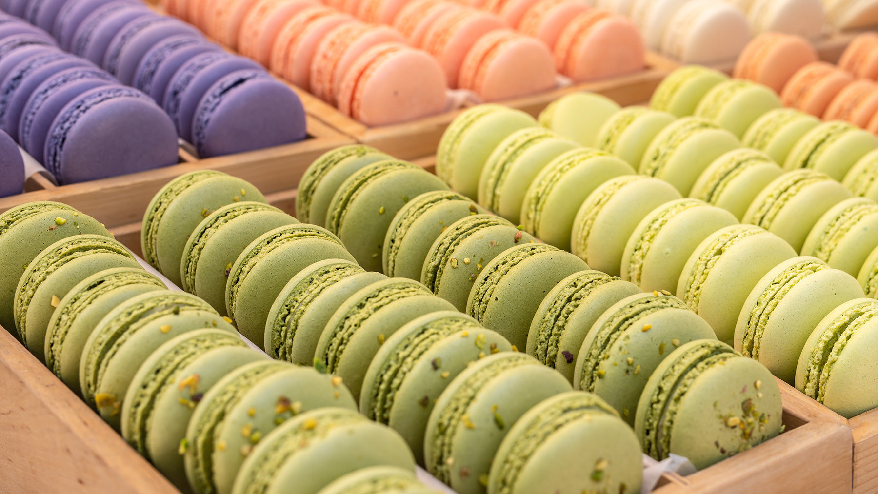 Multicoloured macarons